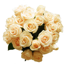 法式手束白玫瑰