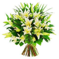 白色百合花束